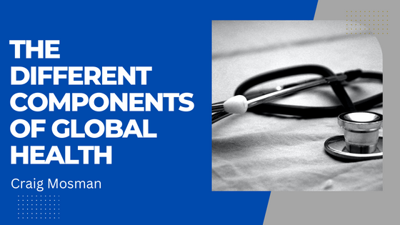 The Different Components of Global Health